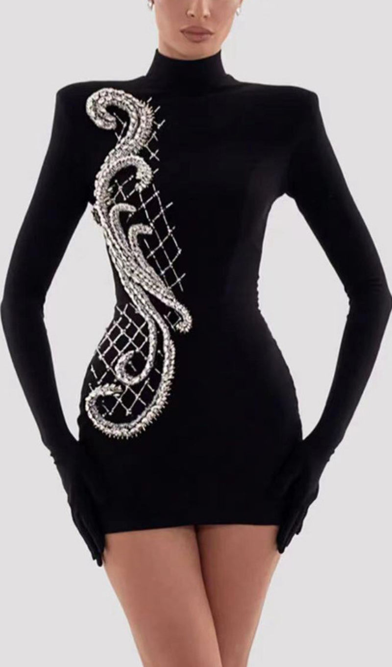 LONG SLEEVE EMBROIDERED MINI DRESS IN BLACK
