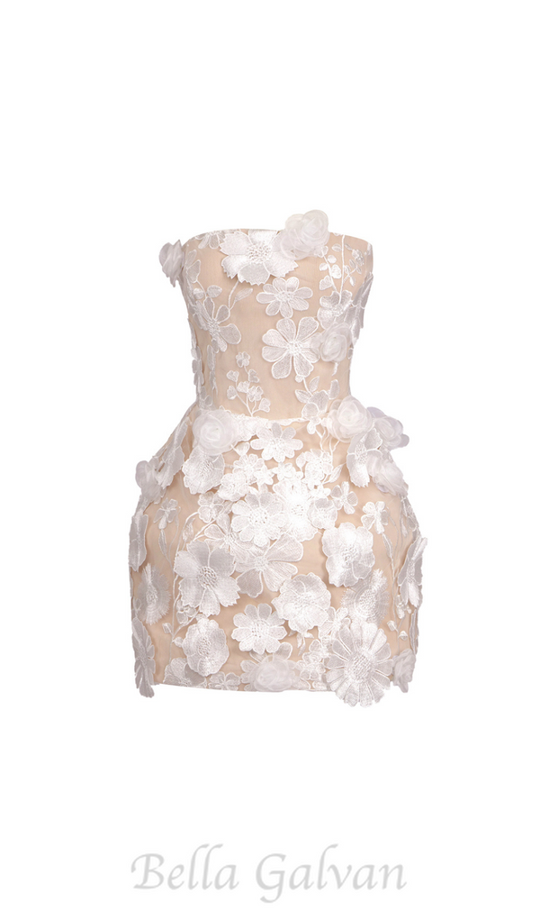 CHLOE FLORAL APPLIQUÉS HAND EMBROIDERY WHITE MINI DRESS