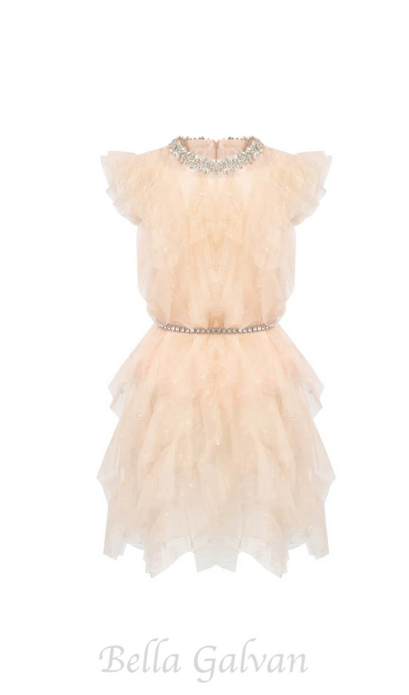 Crystal Embellished Ruffle mini Dress in pale pink