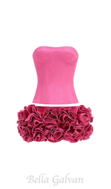 CLEGG PINK CORSET FLOWER TWO-PIECE SET