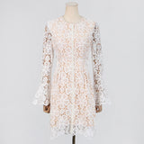 Embroidered hollow mini dress in white